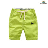 short garçon élégant vert